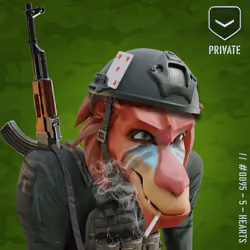 Angry Red Private Baboon #95
