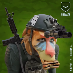 Sad Peach Private Baboon #68