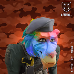 Happy Rainbow General Baboon #26