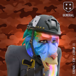 Sad Rainbow General Baboon #27