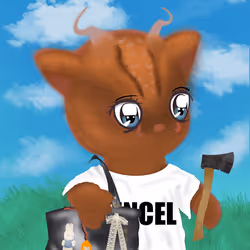 50