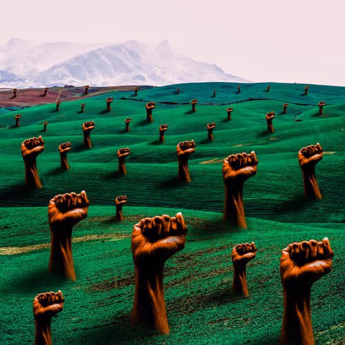 FIELD OF JUSTICE