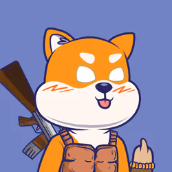 Baby Shiba Club #97