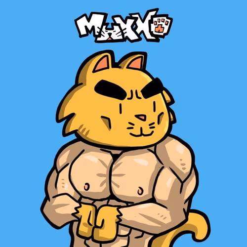 Muxxo Cat