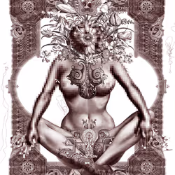 24