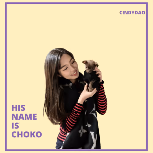 CindyDAO Genesis #235