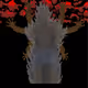 71