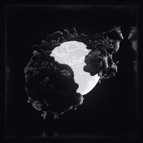 Homesick Hoxid