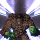 2274