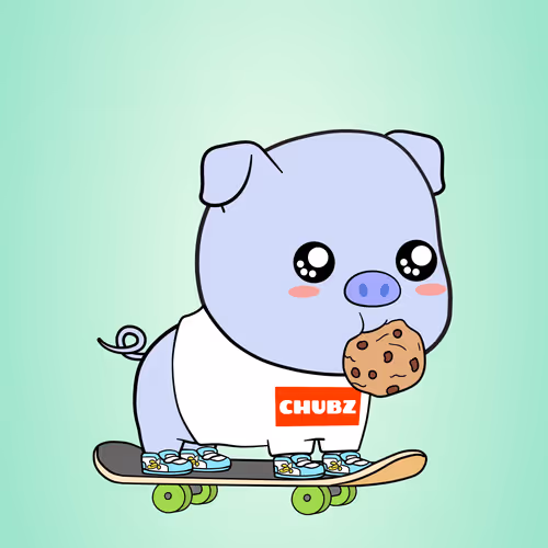 Chubbipig #707