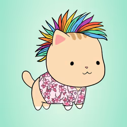 Chubbicat #2211