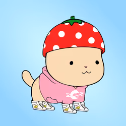 Chubbicat #905
