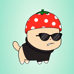 Chubbicat #3292