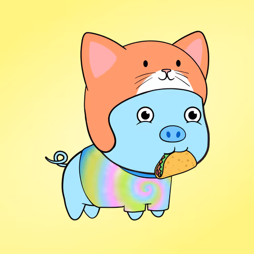 Chubbipig #5011