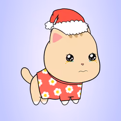 Chubbicat #6745