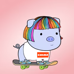 Chubbipig #815