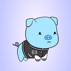 Chubbipig #2234