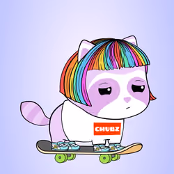 Chubbikun #8642
