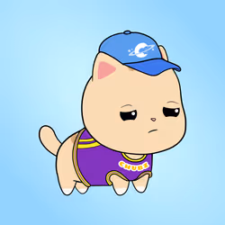 Chubbicat #8521
