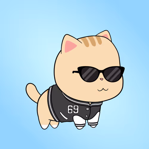 Chubbicat #8883