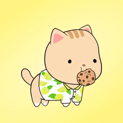 Chubbicat #6038