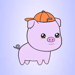 Chubbipig #1143