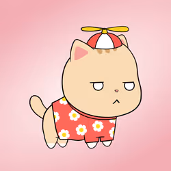 Chubbicat #1304