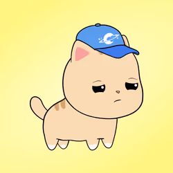 Chubbicat #8646