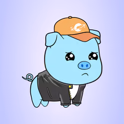 Chubbipig #3900