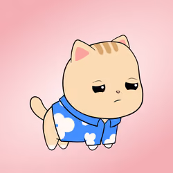 Chubbicat #5278