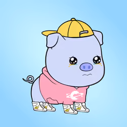 Chubbipig #170