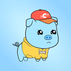 Chubbipig #6663
