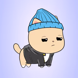 Chubbicat #1936