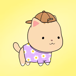 Chubbicat #8572