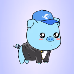 Chubbipig #2944