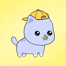 Chubbicat #312
