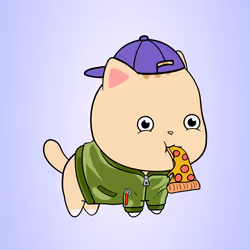 Chubbicat #729