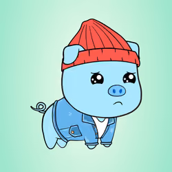 Chubbipig #4816
