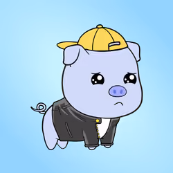 Chubbipig #3363