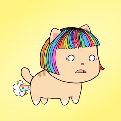 Chubbicat #5667
