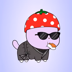 Chubbicat #6360