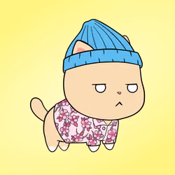 Chubbicat #984