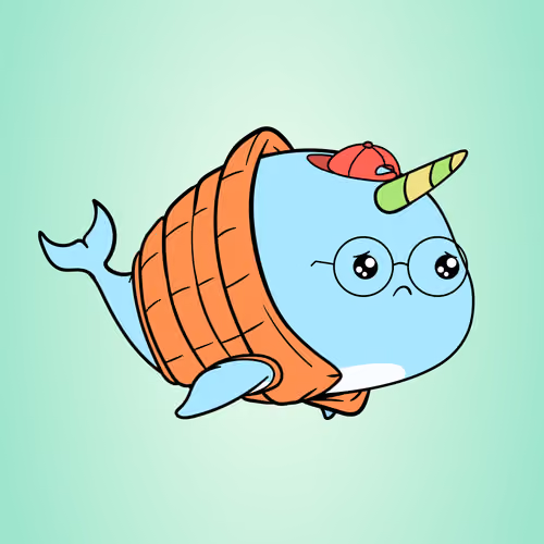 Chubbiwhal #6578