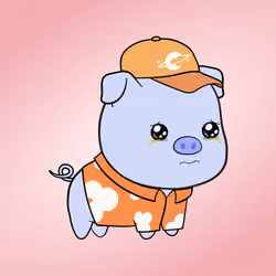 Chubbipig #7583