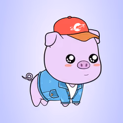 Chubbipig #6807