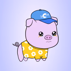 Chubbipig #7722