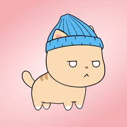 Chubbicat #900