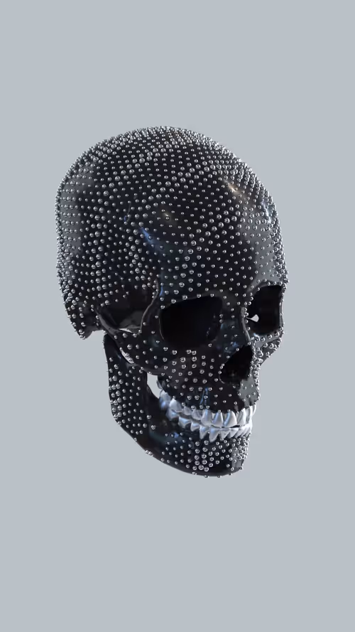 Item #9800160020 Media
