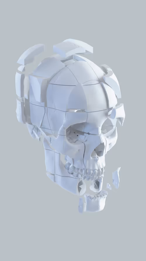 Item #9800130007 Media