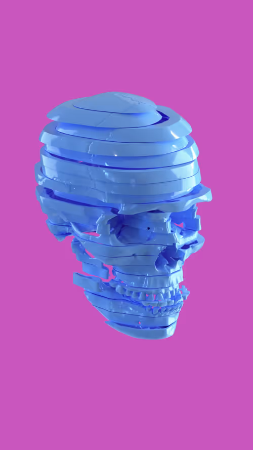 Item #9800140007 Media